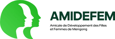 AMIDEFEM
